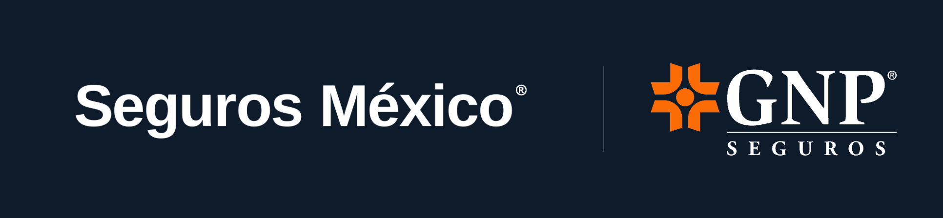 Seguros México × GNP Seguros