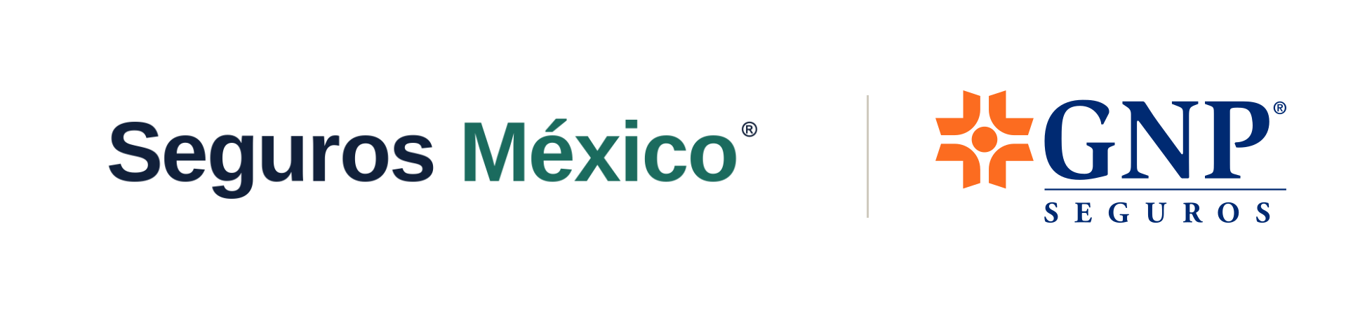 Seguros México × GNP Seguros
